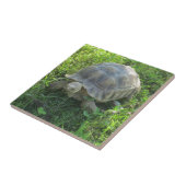 Carreau Tortue dans l'herbe (Côté)