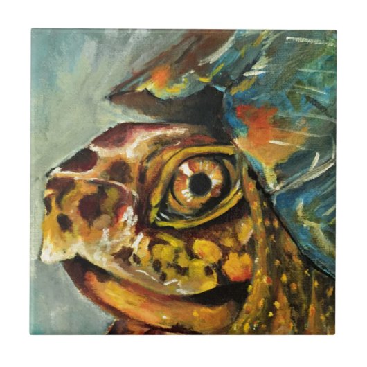 Carreau tortue de boîte (Devant)
