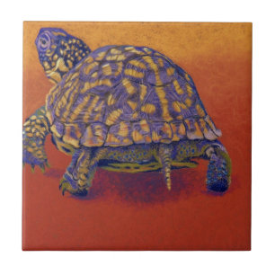Carreau Tortue de boîte, tortue