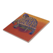 Carreau Tortue de boîte, tortue (Côté)