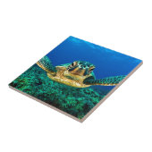 Carreau Tortue de mer (Côté)