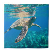 Carreau Tortue de mer (Devant)