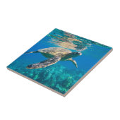 Carreau Tortue de mer (Côté)