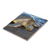 Carreau Tortue de mer (Côté)