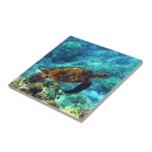 Carreau tortue de mer (Côté)