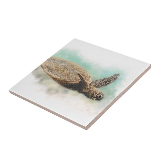 Carreau Tortue de mer d'Hawaï (Côté)