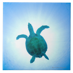 Carreau Tortue de mer nageant sous l'eau