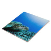 Carreau Tortue de mer se reposant sous l'eau (Côté)