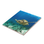 Carreau Tortue de mer sous l'eau (Côté)