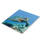 Carreau Tortue de mer verte (Côté)