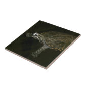 Carreau Tortue de natation (Côté)