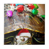 Carreau Tortue de Noël (Devant)