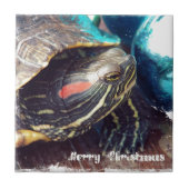 Carreau Tortue de Noël (Devant)