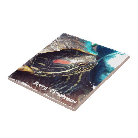 Carreau Tortue de Noël (Côté)