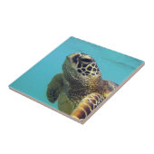 Carreau Tortue d'Hawaï Honu (Côté)