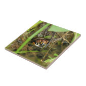 Carreau Tortue et têtards (Côté)