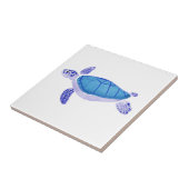 Carreau Tortue pourpre (Côté)