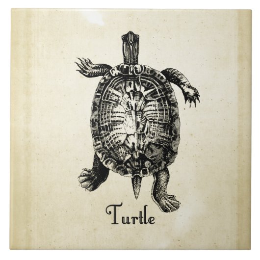 Carreau TORTUE vintage (Devant)