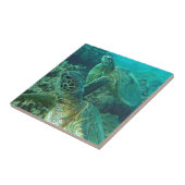 Carreau Tortues de mer vertes d'Hawaii (Côté)