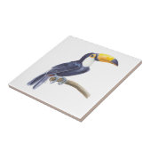 Carreau Toucan, oiseau tropical (Côté)