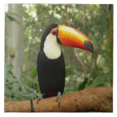 Carreau Toucan sur branche d'arbre (Devant)