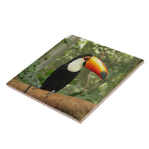 Carreau Toucan sur branche d'arbre
