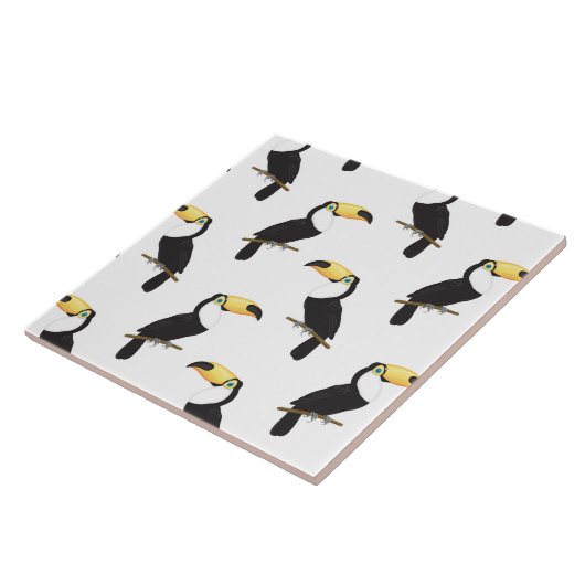 Carreau Toucans (Côté)
