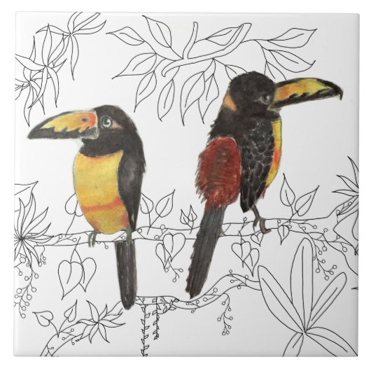 Carreau Toucans sur carrelage en céramique (W) (Devant)
