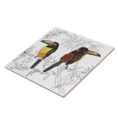 Carreau Toucans sur carrelage en céramique (W) (Côté)