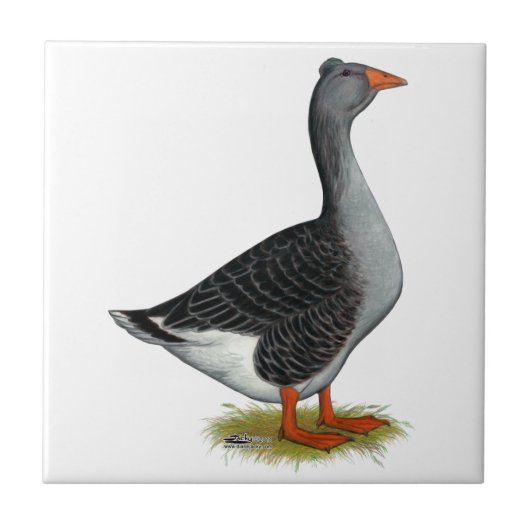 Carreau Toulouse Goose (Devant)