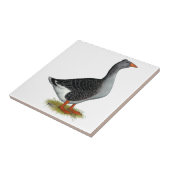 Carreau Toulouse Goose (Côté)