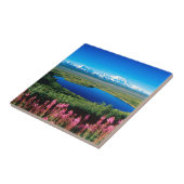 Carreau Toundra le mont McKinley Denali Alaska de scène (Côté)