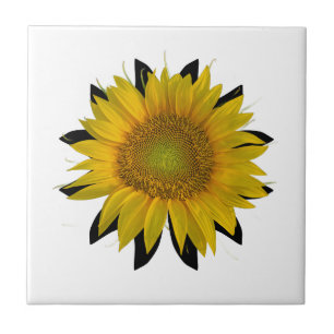 Carreau Tournesol