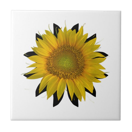 Carreau Tournesol (Devant)