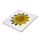 Carreau Tournesol (Côté)