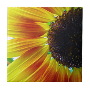 Carreau Tournesol