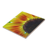 Carreau Tournesol (Côté)