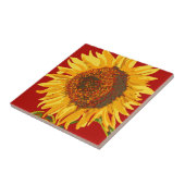 Carreau Tournesol (Côté)