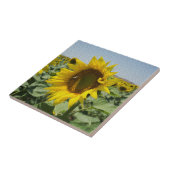 Carreau Tournesol (Côté)