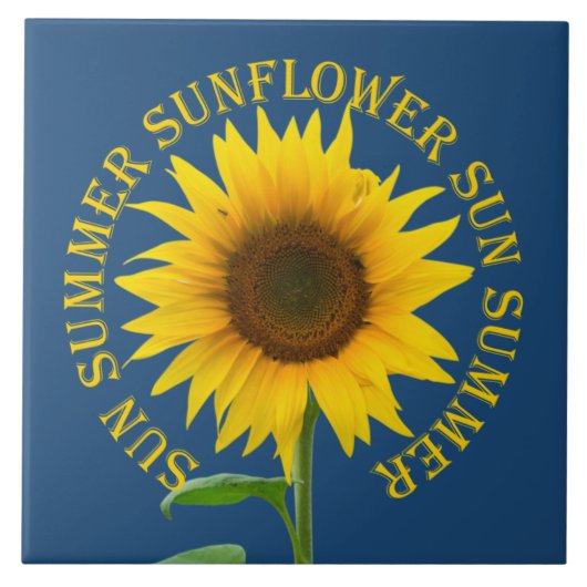 Carreau Tournesol (Devant)