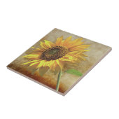 Carreau Tournesol (Côté)