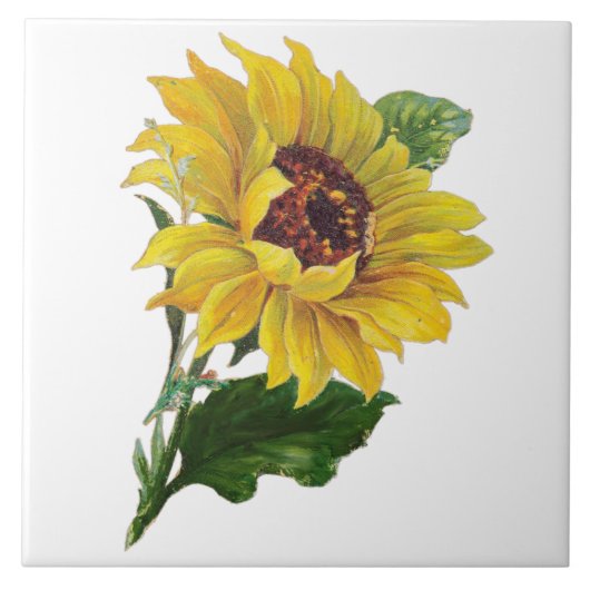 Carreau Tournesol (Devant)