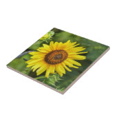 Carreau Tournesol (Côté)