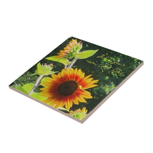 Carreau Tournesol (Côté)