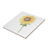 Carreau Tournesol (Côté)