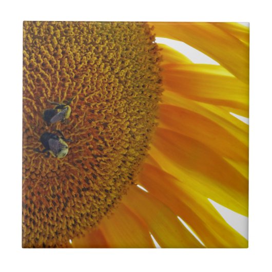 Carreau Tournesol aux bourdons (Devant)