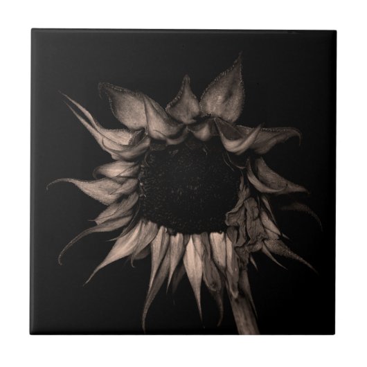 Carreau Tournesol - Beau Art Cool Unique (Devant)
