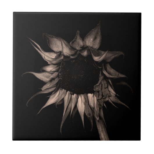 Carreau Tournesol - Beau Art Cool Unique (Devant)