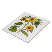 Carreau Tournesol botanique vintage (Côté)
