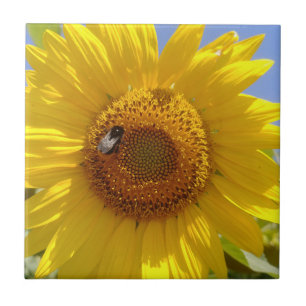Carreau Tournesol jaune